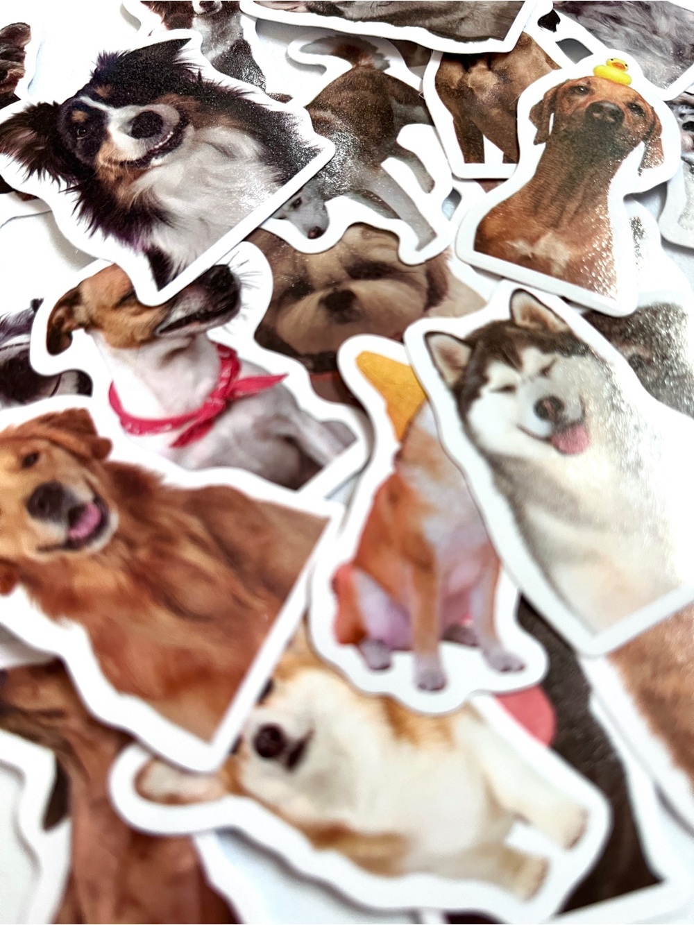 D❤️GS!!  Sticker Pack 25 – Multi-Color Cute Dog Designs- Awesome!!